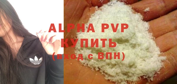 PSILOCYBIN Аркадак
