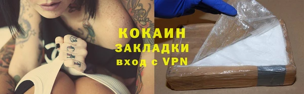 крисы Абаза