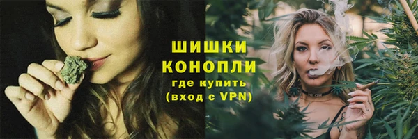 PSILOCYBIN Аркадак